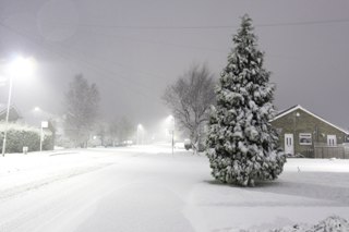 Lots of snow means wet... wet stuff means mold.